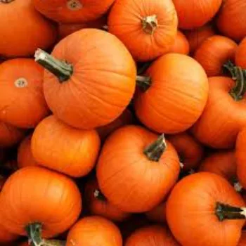 Fresh pumkin (34)-3677270-24200.webp